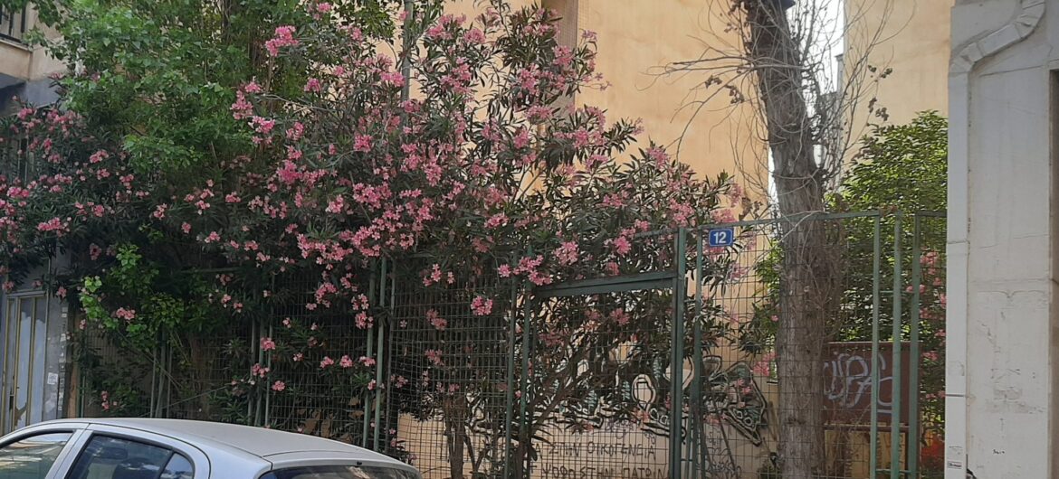 Παρεμβάσεις της Ανοιχτής Πόλης στην 12η τακτική συνεδρίαση του Δημοτικού Συμβουλίου