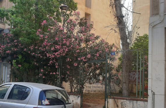 Παρεμβάσεις της Ανοιχτής Πόλης στην 12η τακτική συνεδρίαση του Δημοτικού Συμβουλίου