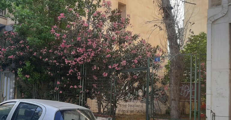 Παρεμβάσεις της Ανοιχτής Πόλης στην 12η τακτική συνεδρίαση του Δημοτικού Συμβουλίου